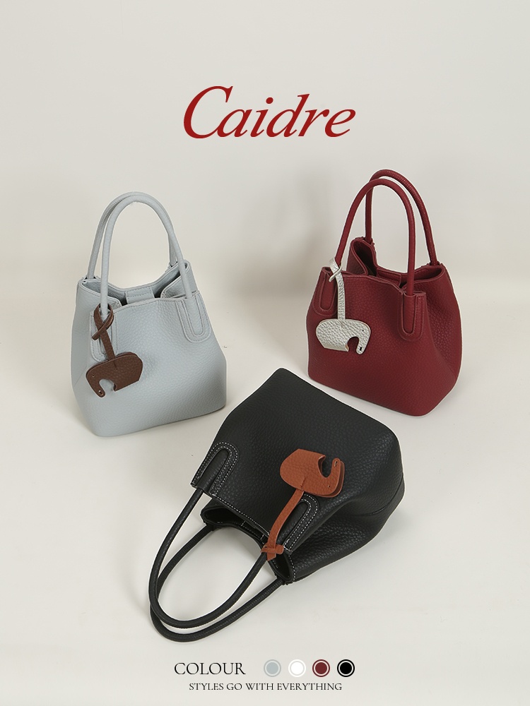 กระเป๋าถือหรูหรา Caidre รุ่น 2 - Luxury Bags In Japan บทวิจารณ์และราคา